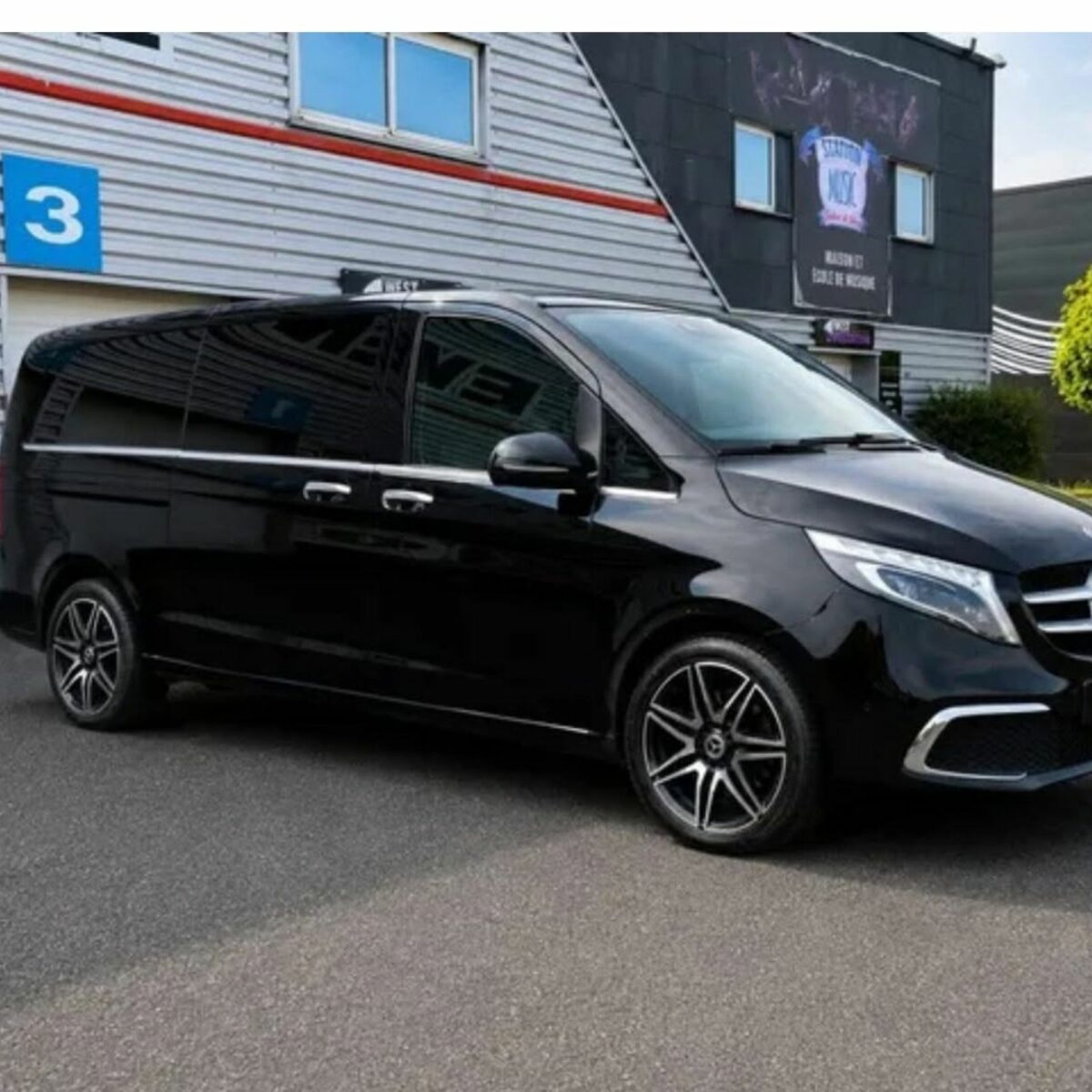 Mercedes Viano